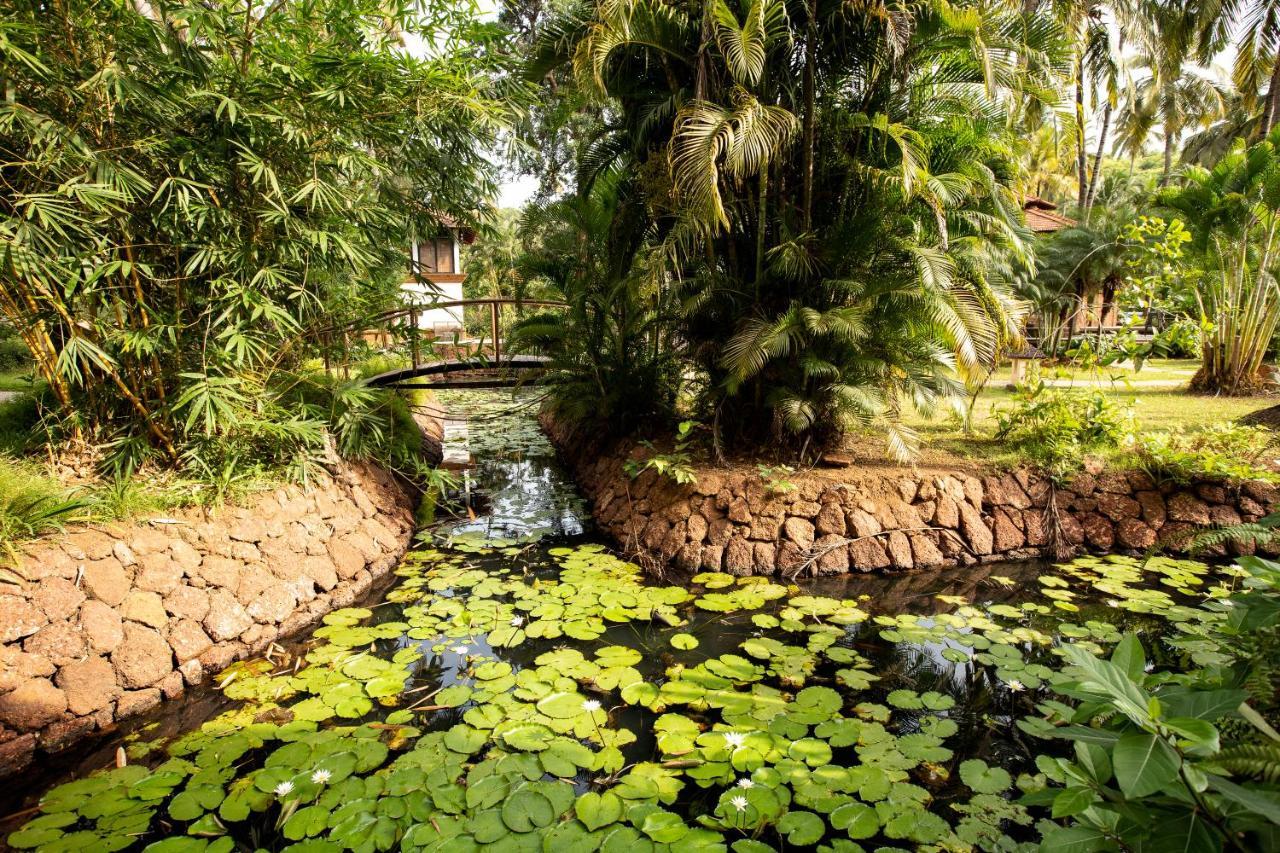 Coconut Creek Resort - Dabolim Airport Mormugao Eksteriør bilde